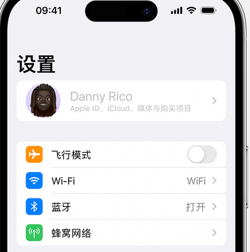 屯溪appleID维修服务iPhone设置中Apple ID显示为灰色无法使用 