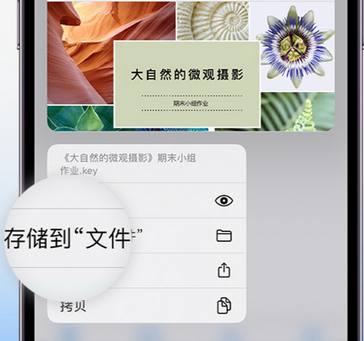 屯溪apple维修中心分享iPhone文件应用中存储和找到下载文件