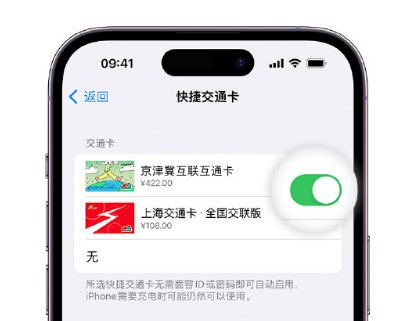 屯溪apple维修点分享iPhone上更换Apple Pay快捷交通卡手绘卡面 