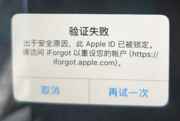 屯溪iPhone维修分享iPhone上正常登录或使用AppleID怎么办 