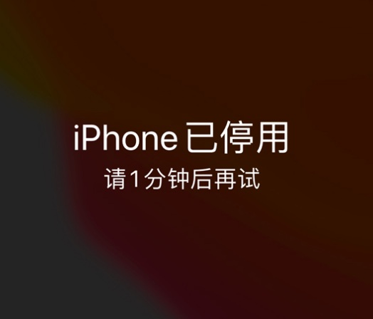 屯溪苹果手机维修分享:iPhone 显示“不可用”或“已停用”怎么办？还能保留数据吗？ 