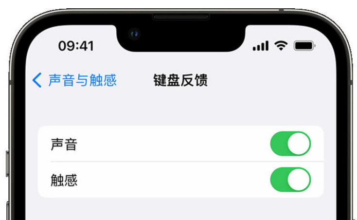 屯溪苹果手机维修分享iPhone 14触感键盘使用方法 