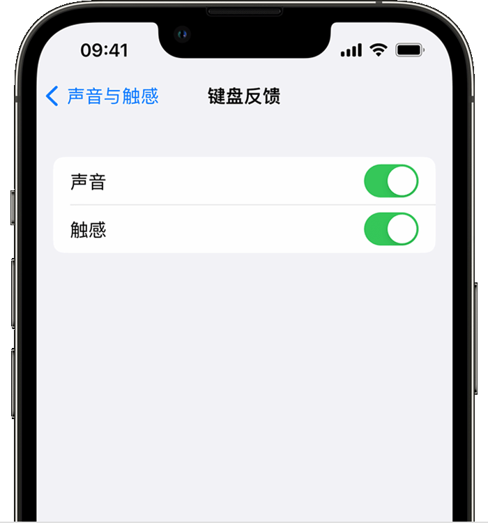 屯溪苹果14维修店分享如何在 iPhone 14 机型中使用触感键盘 