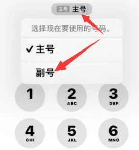 屯溪苹果14维修店分享iPhone 14 Pro Max使用副卡打电话的方法 