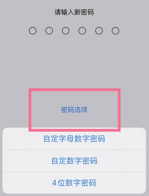 屯溪苹果14维修分享iPhone 14plus设置密码的方法 