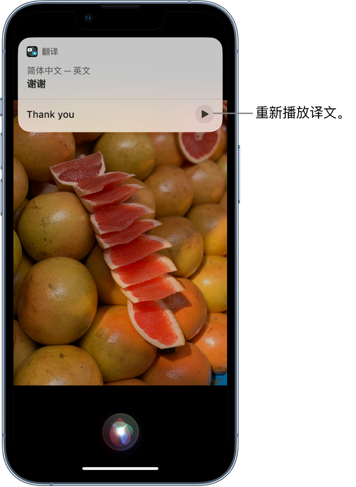 屯溪苹果14维修分享 iPhone 14 机型中使用 Siri：了解 Siri 能帮你做什么 