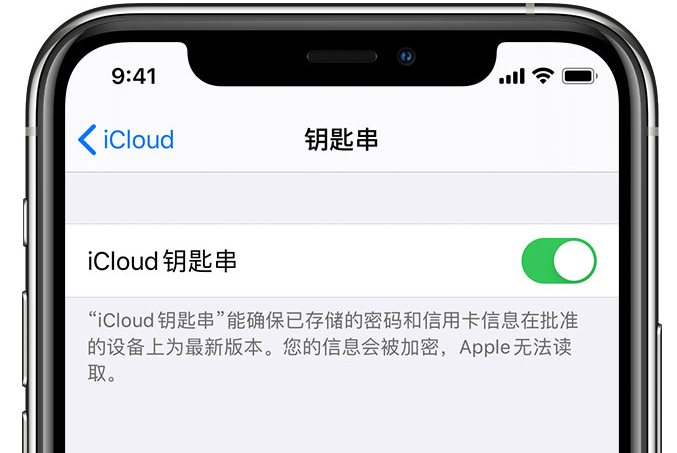 屯溪苹果手机维修分享在 iPhone 上开启 iCloud 钥匙串之后会储存哪些信息 