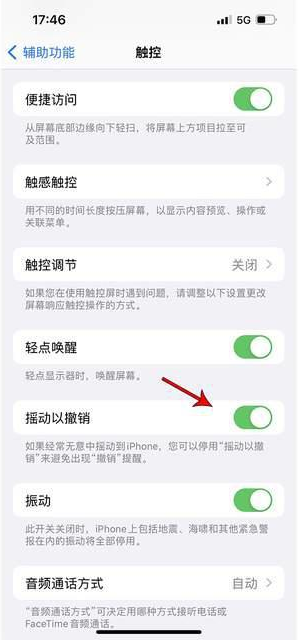 屯溪苹果手机维修分享iPhone手机如何设置摇一摇删除文字 