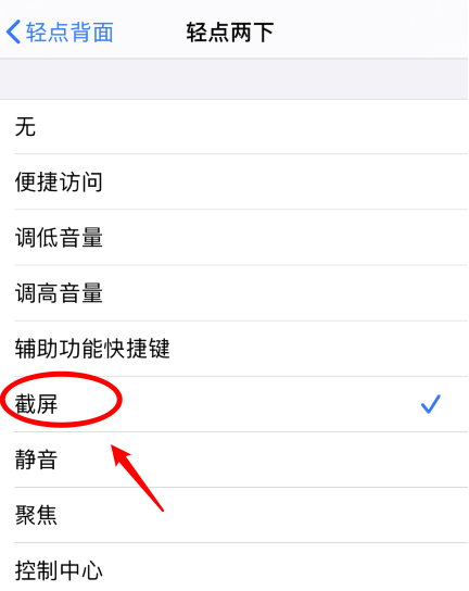 屯溪苹果手机维修分享iPhone12如何启用双击截屏 
