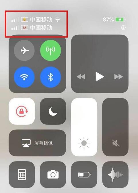 屯溪苹果手机维修分享为 iPhone 12 双卡设置标签 